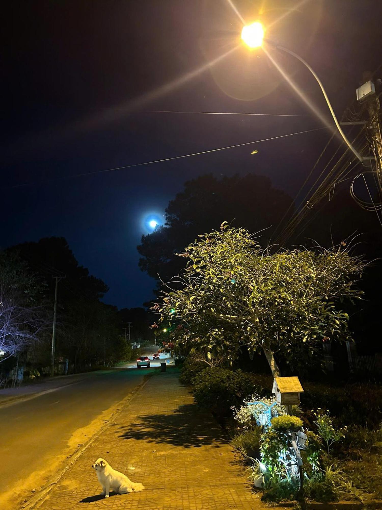 Chino Homestay Mang Den - Villa Tai Mang Den Κον Τουμ Εξωτερικό φωτογραφία